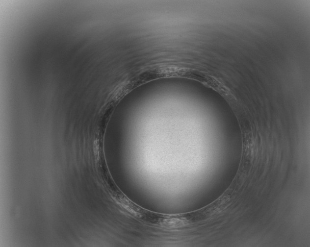 X0000060230716200511041231