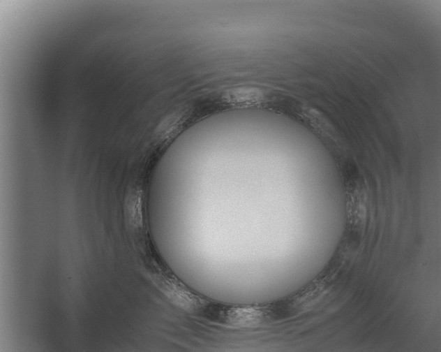 X0000060230717200511041231