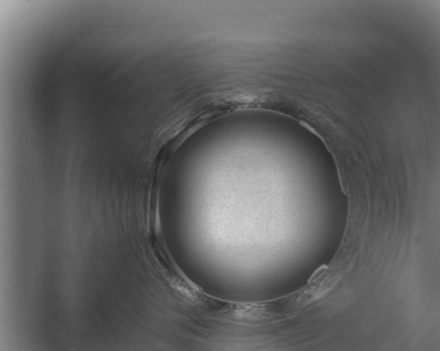 X0000060230720200511041230