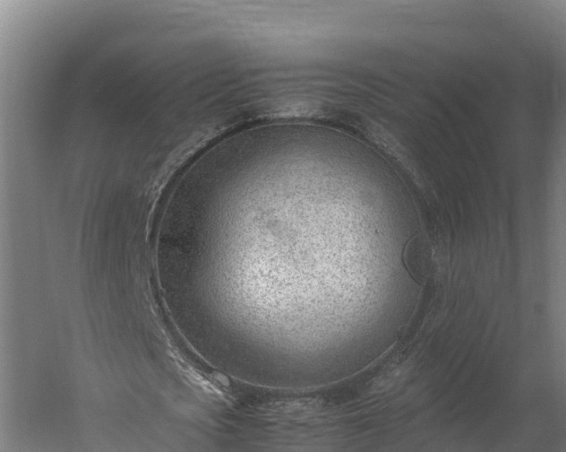 X0000060230721200511041230