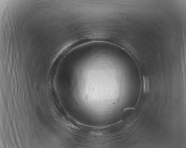 X0000060230723200511041230