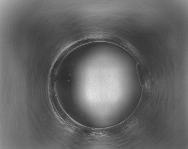 X0000060230724200511041230