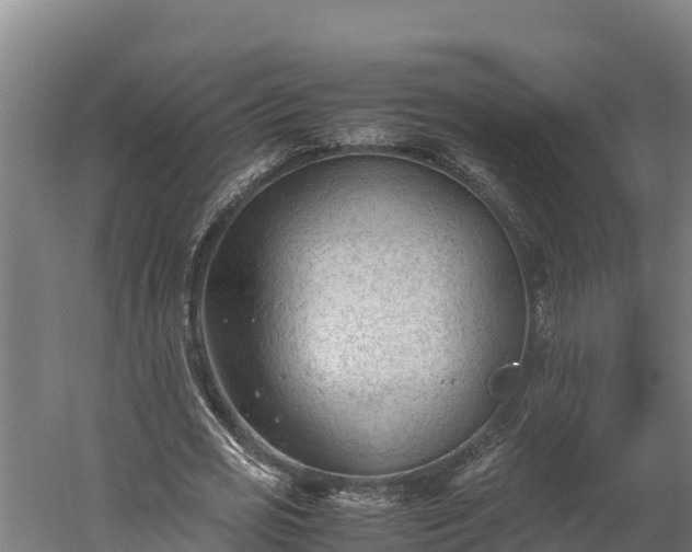 X0000060230725200511041230