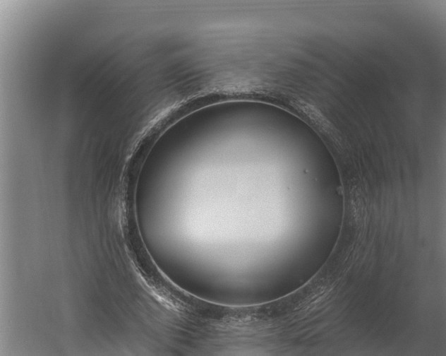 X0000060230728200511041230