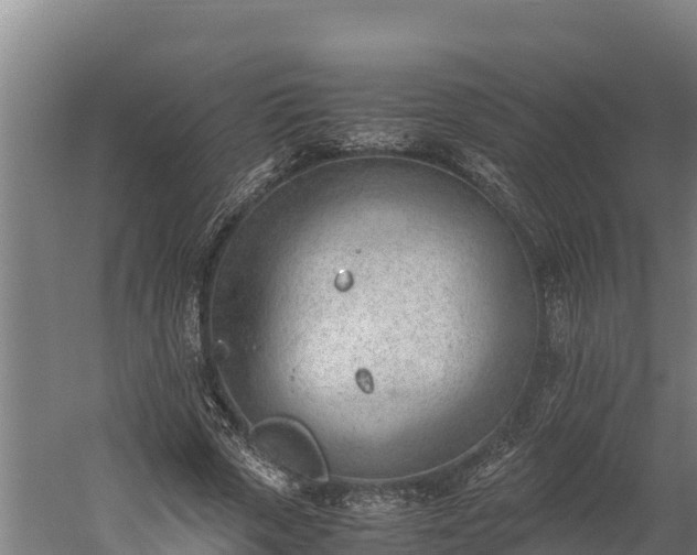 X0000060230729200511041230