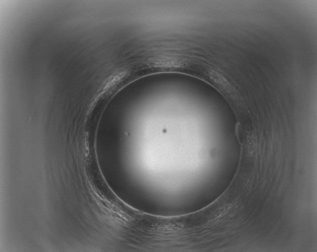 X0000060230731200511041230