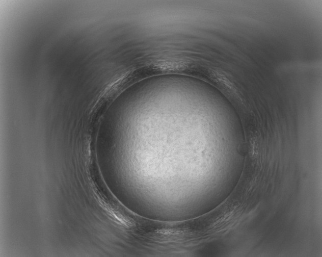 X0000060230733200511041230