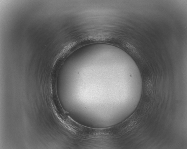 X0000060230734200511041230