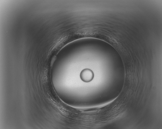 X0000060230735200511041230