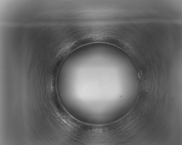 X0000060230740200511041230