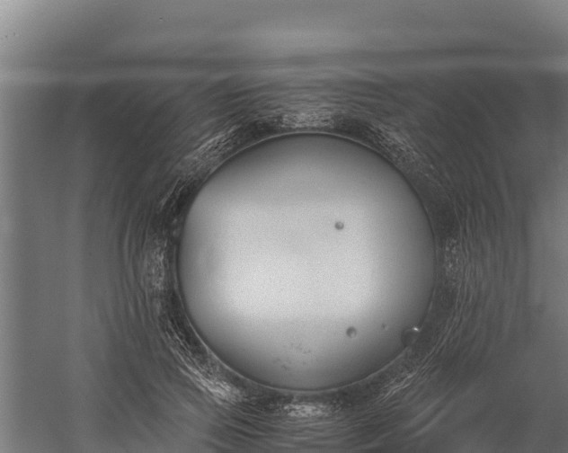 X0000060230741200511041230