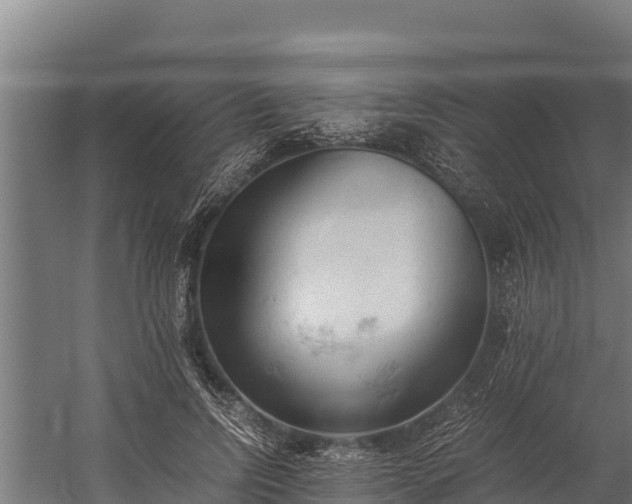 X0000060230742200511041230