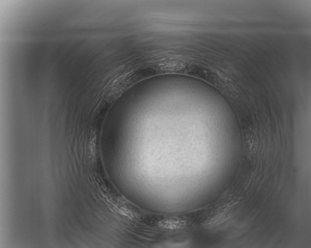 X0000060230745200511041230