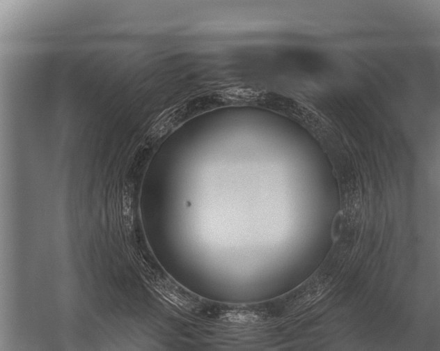 X0000060230749200511041230