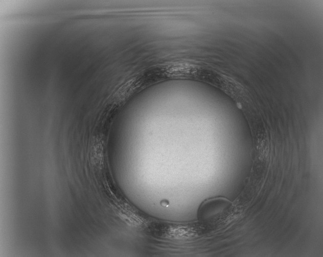 X0000060230753200511041230