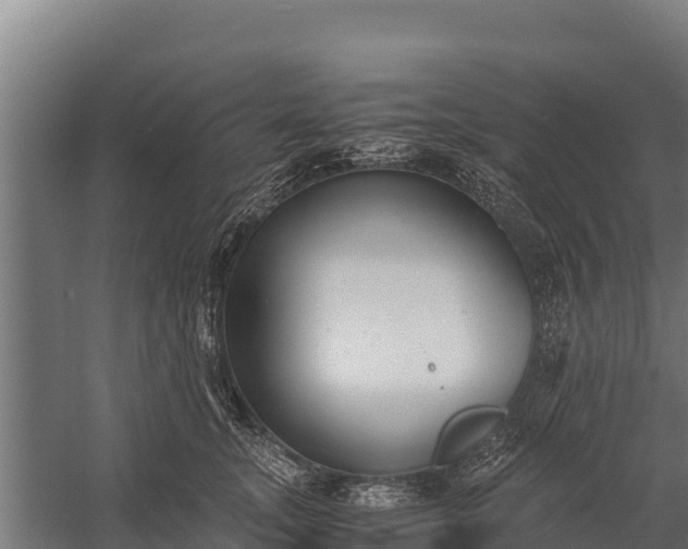 X0000060230755200511041230