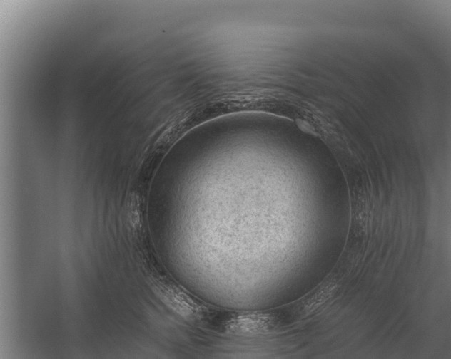 X0000060230758200511041230