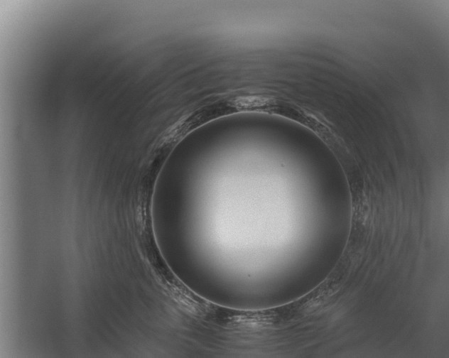 X0000060230763200511041230