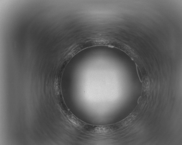 X0000060230764200511041230