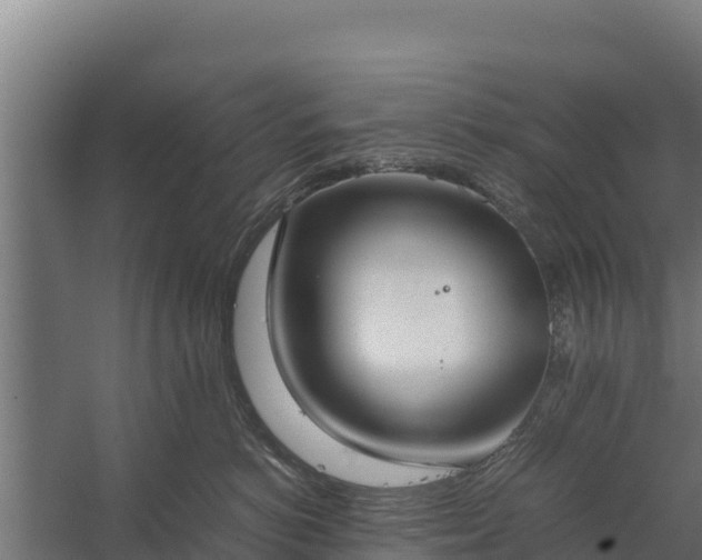 X0000060230766200511041230