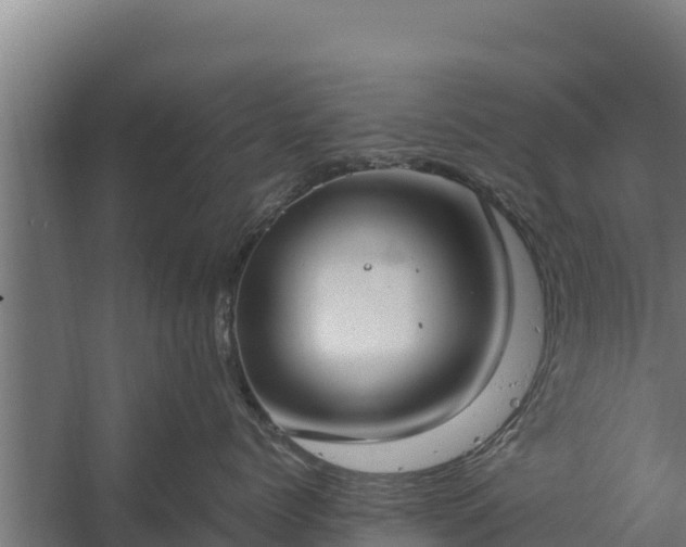 X0000060230768200511041230