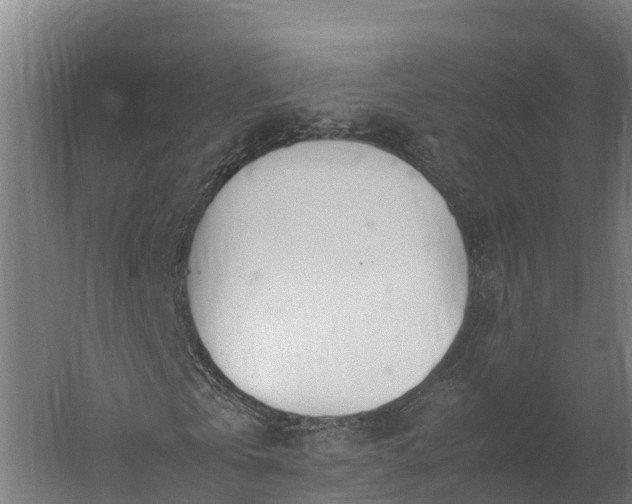 X0000060230769200511041230