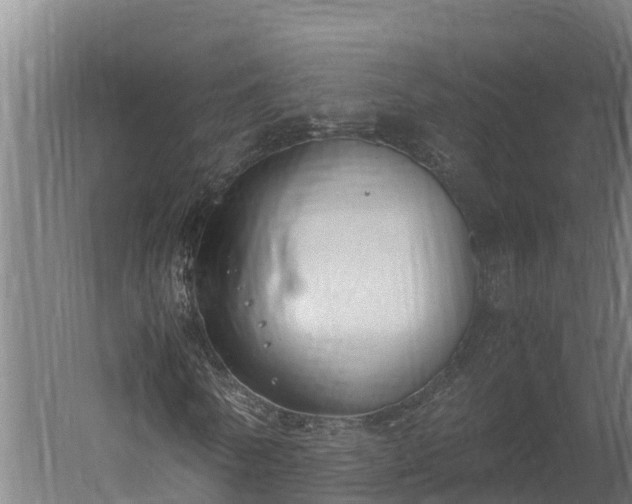 X0000060230770200511041230