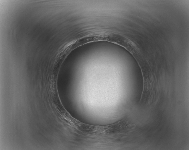 X0000060230773200511041230