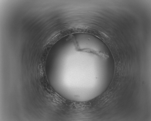 X0000060230774200511041230