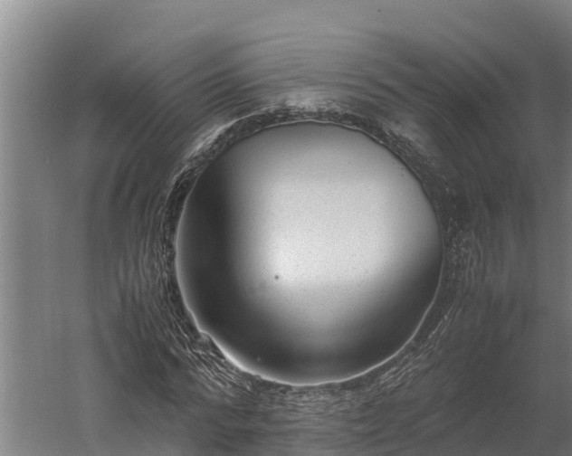 X0000060230776200511041230