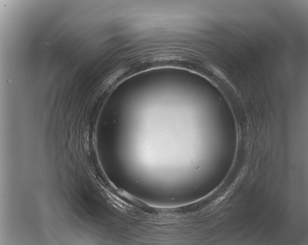 X0000060230777200511041229