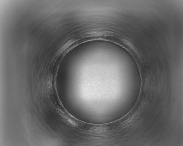 X0000060230778200511041229