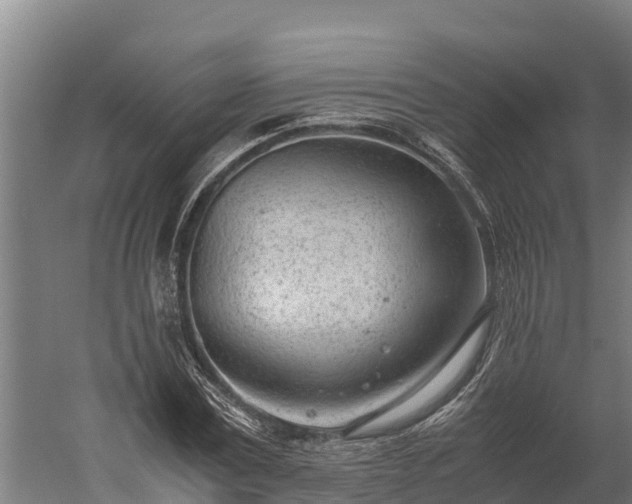 X0000060230779200511041229