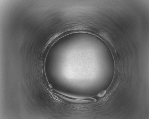 X0000060230781200511041229