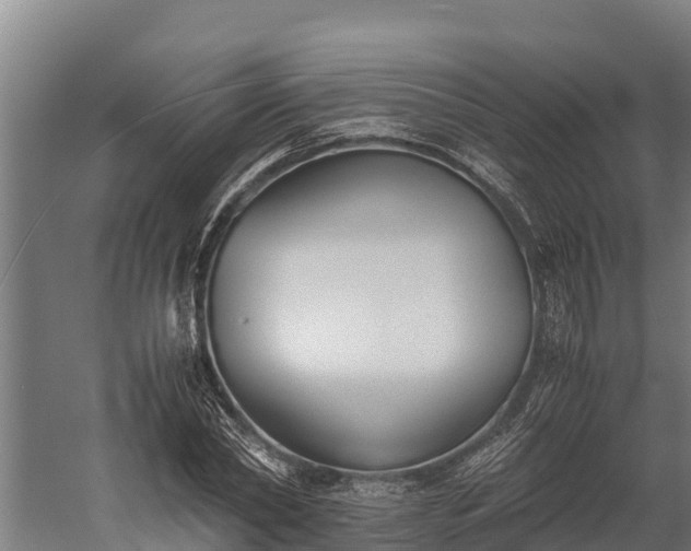 X0000060230782200511041229