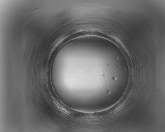 X0000060230783200511041229