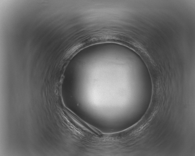 X0000060230785200511041229