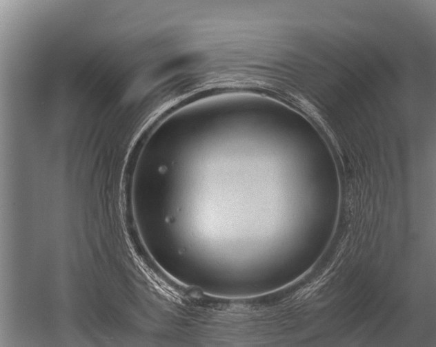 X0000060230787200511041229