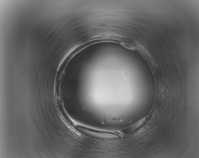 X0000060230788200511041229