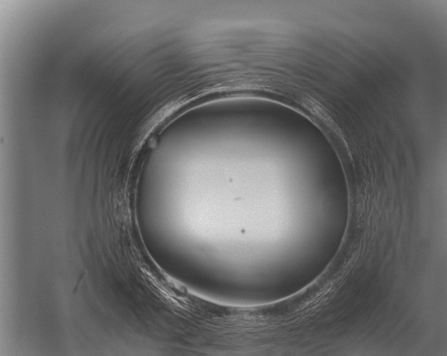 X0000060230789200511041229