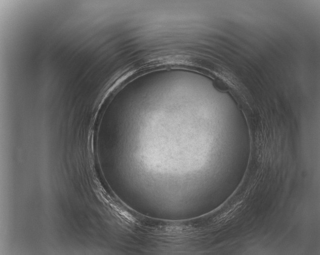 X0000060230790200511041229