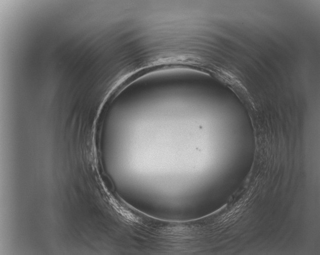 X0000060230792200511041229