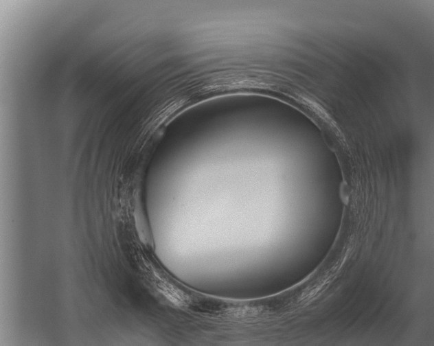 X0000060230793200511041229