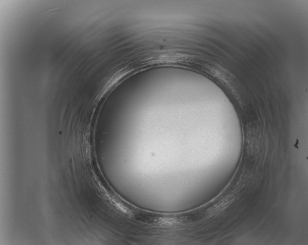 X0000060230794200511041229