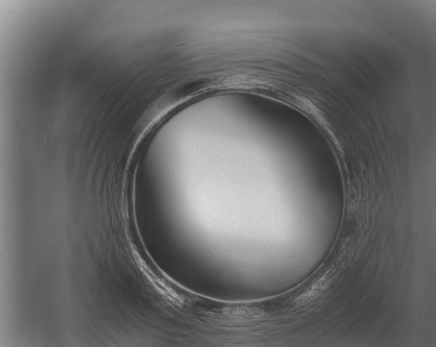 X0000060230795200511041229