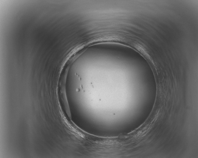 X0000060230797200511041229