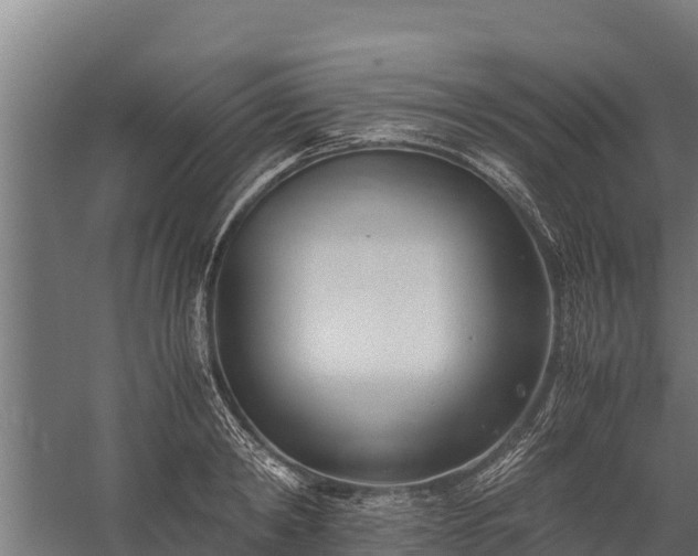 X0000060230798200511041229