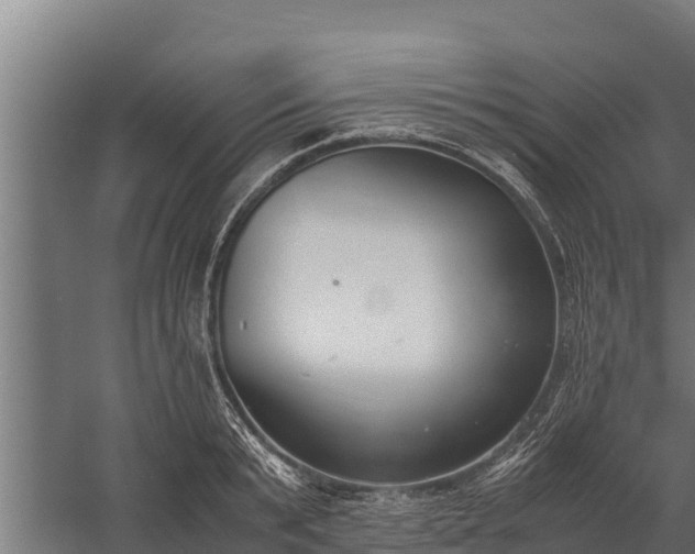 X0000060230799200511041229