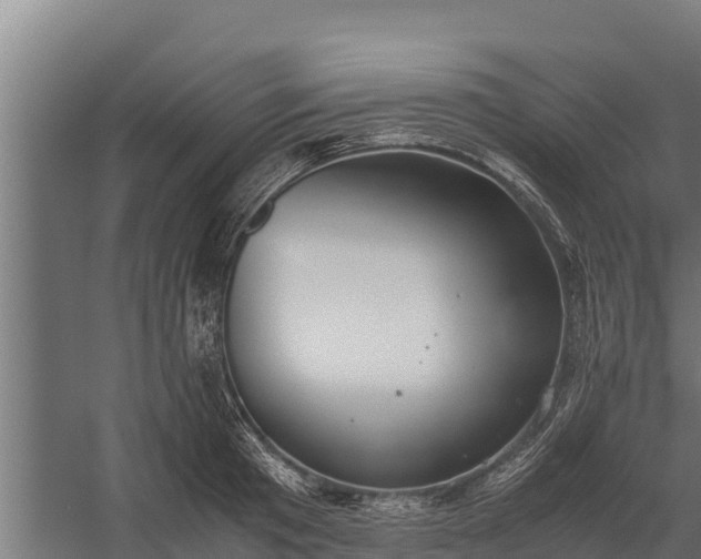 X0000060230801200511041229