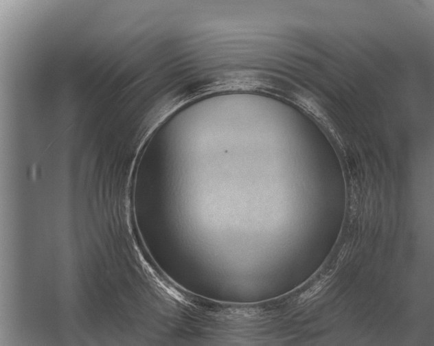 X0000060230802200511041229